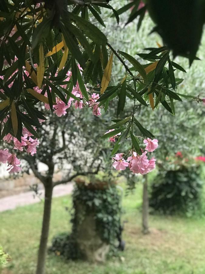 فيلا La Casa Di Claudia فلورنس المظهر الخارجي الصورة