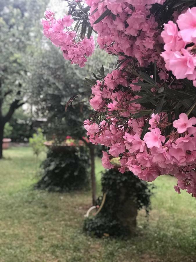 فيلا La Casa Di Claudia فلورنس المظهر الخارجي الصورة